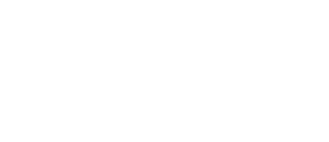 Parceiro 1